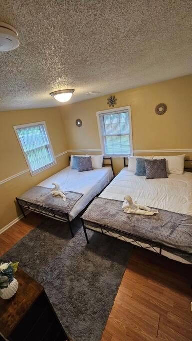 Appartement Cozy 2br Sleeps 6 Near Ecu Stadium And Hospital Greenville