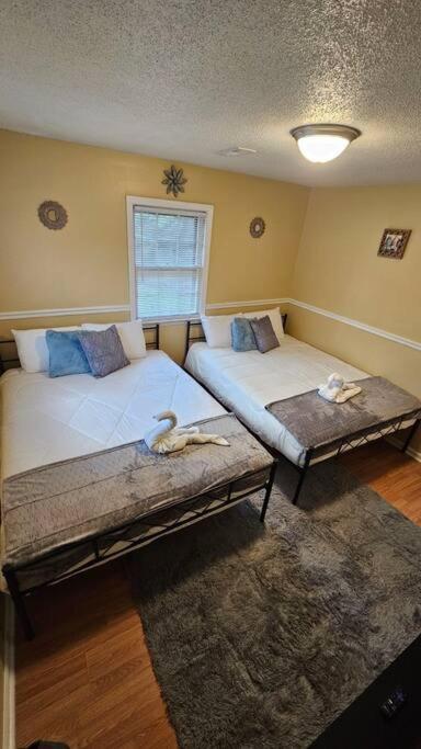 Appartement Cozy 2br Sleeps 6 Near Ecu Stadium And Hospital Greenville